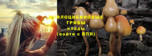 кристаллы Белоозёрский