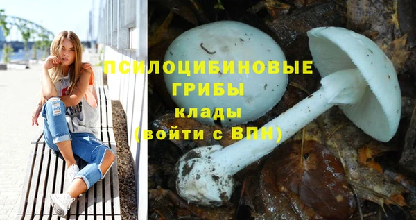 мескалин Белокуриха