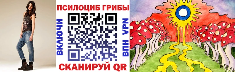 Галлюциногенные грибы Magic Shrooms  Сковородино 